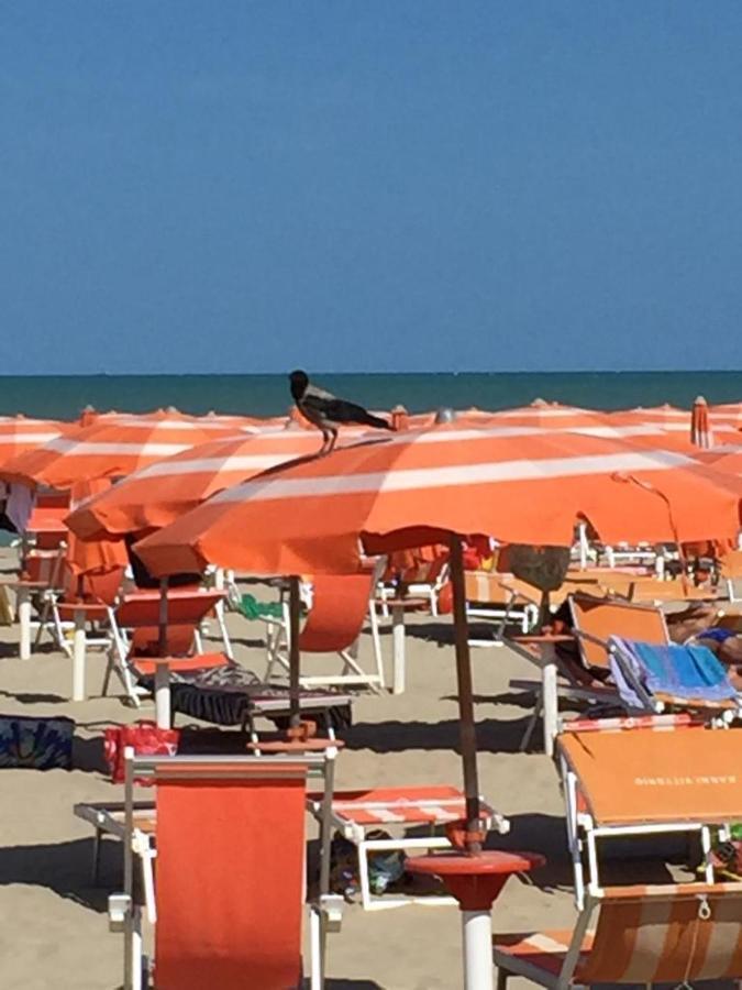 Verde Mare "Appartamenti Per Vacanze" Tortoreto Zewnętrze zdjęcie